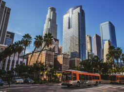 David Shane PR- Los Angeles