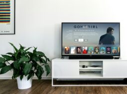 David Shane PR- Television