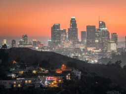 David Shane PR - Globalization of Entertainment